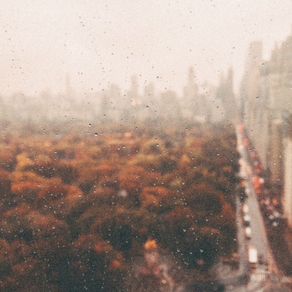 Meet your Posher, Kenzie